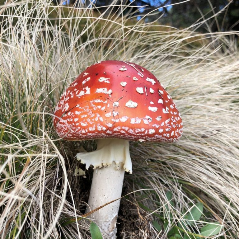 Wandern im bayerischen Wald